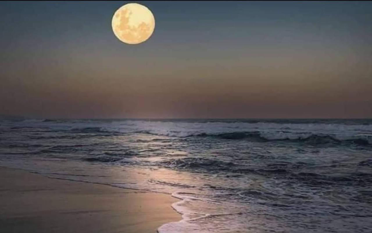 Alicantehills Premiun Playa المظهر الخارجي الصورة
