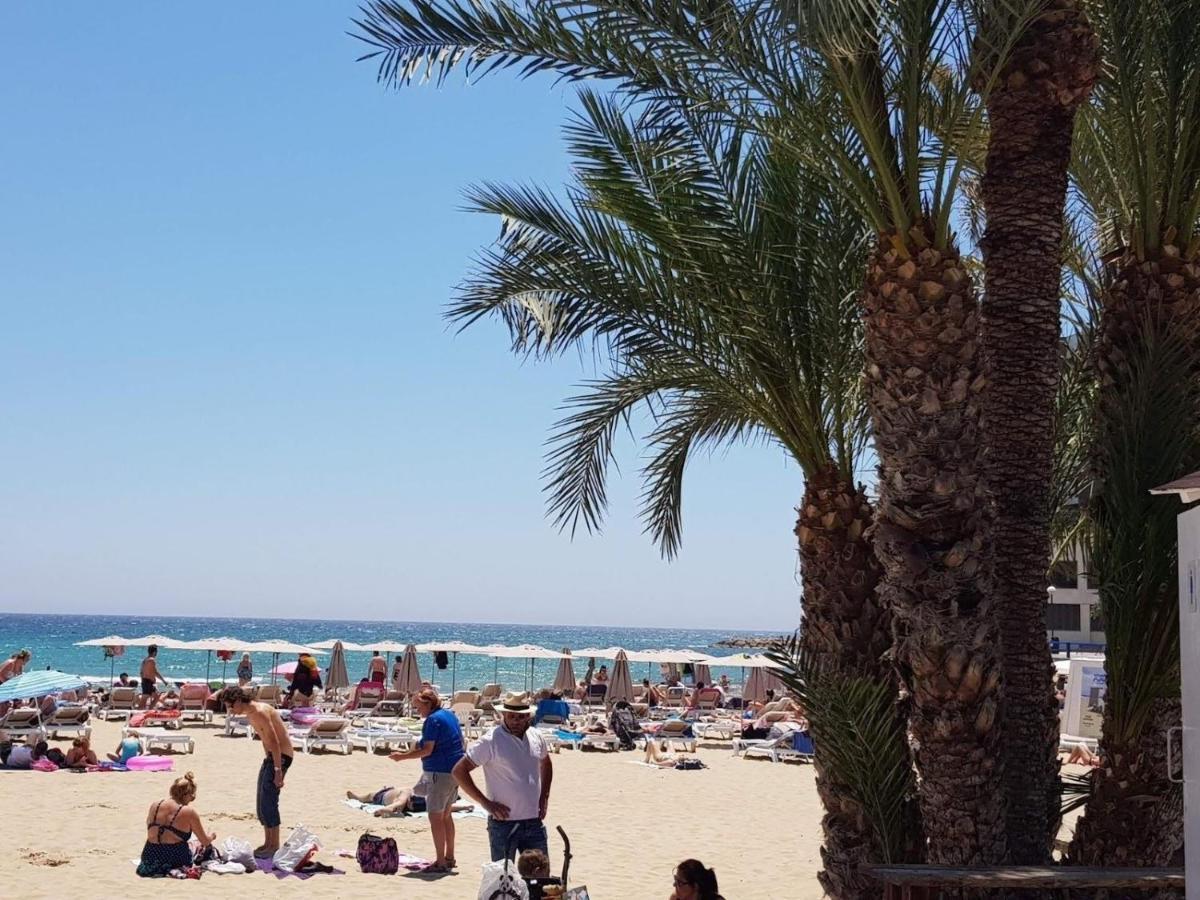 Alicantehills Premiun Playa المظهر الخارجي الصورة